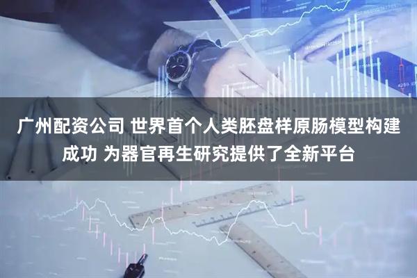 广州配资公司 世界首个人类胚盘样原肠模型构建成功 为器官再生研究提供了全新平台